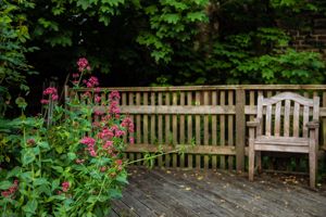 Photo 24- click for photo gallery